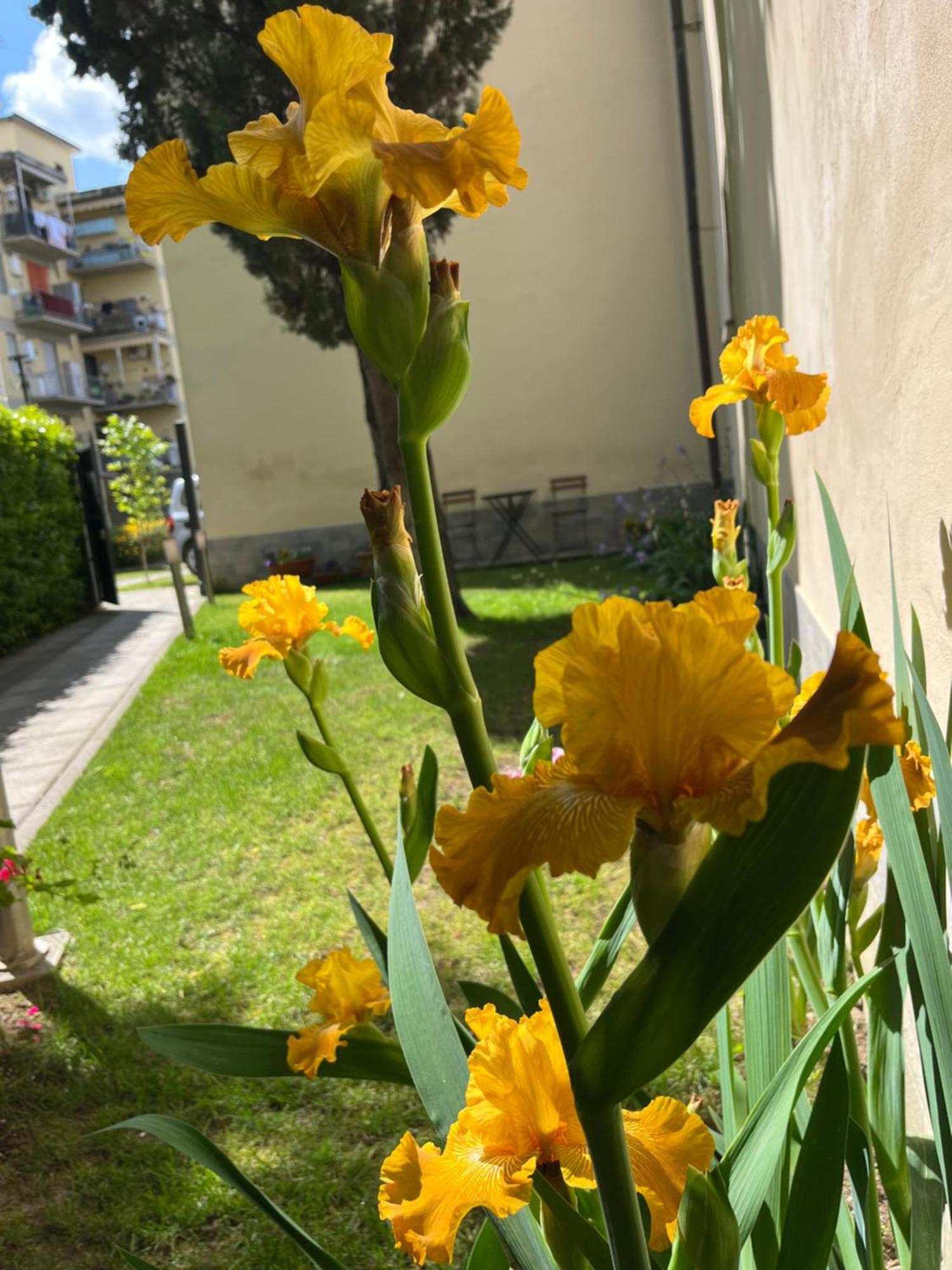 Dalu Florence Apartment Lucilla - Private Car Park 15 Minutes To The City Center Kültér fotó